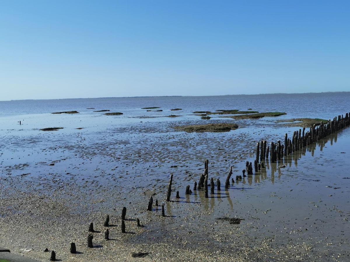Kleinaberfein An Der Nordseekueste Schweindorf Exteriér fotografie